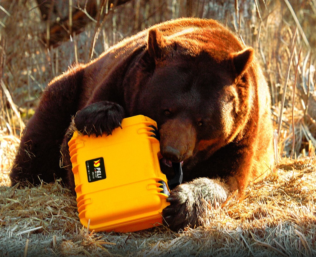 巴塞罗那城市与港口